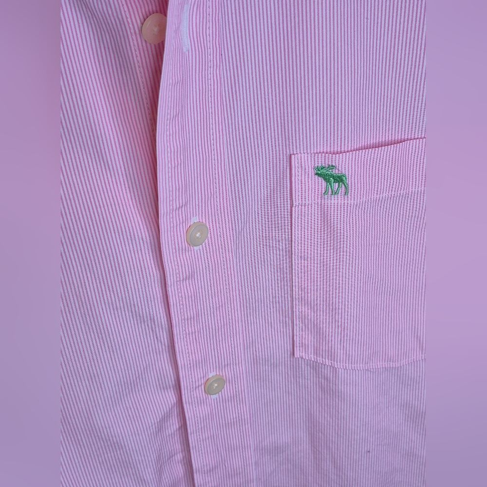 Abercrombie & Fitch Pink Dress Button Down Shirt - Picture 2 of 15